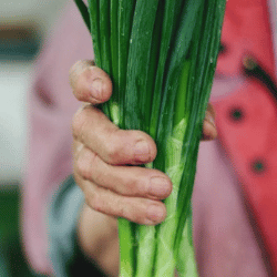 Producto Virginia y Armando Mercados