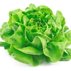 Producto Virginia y Armando Mercados