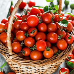 Producto Virginia y Armando Mercados