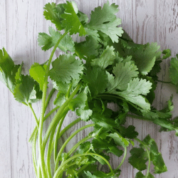 Producto Virginia y Armando Mercados