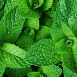 Producto Virginia y Armando Mercados