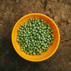 Producto Virginia y Armando Mercados