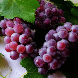 Producto Virginia y Armando Mercados