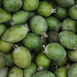 Producto Virginia y Armando Mercados