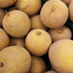 Producto Virginia y Armando Mercados