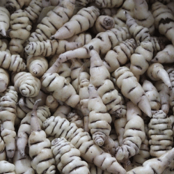 Producto Virginia y Armando Mercados