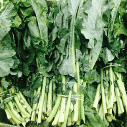 Producto Virginia y Armando Mercados