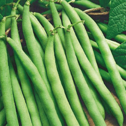 Producto Virginia y Armando Mercados